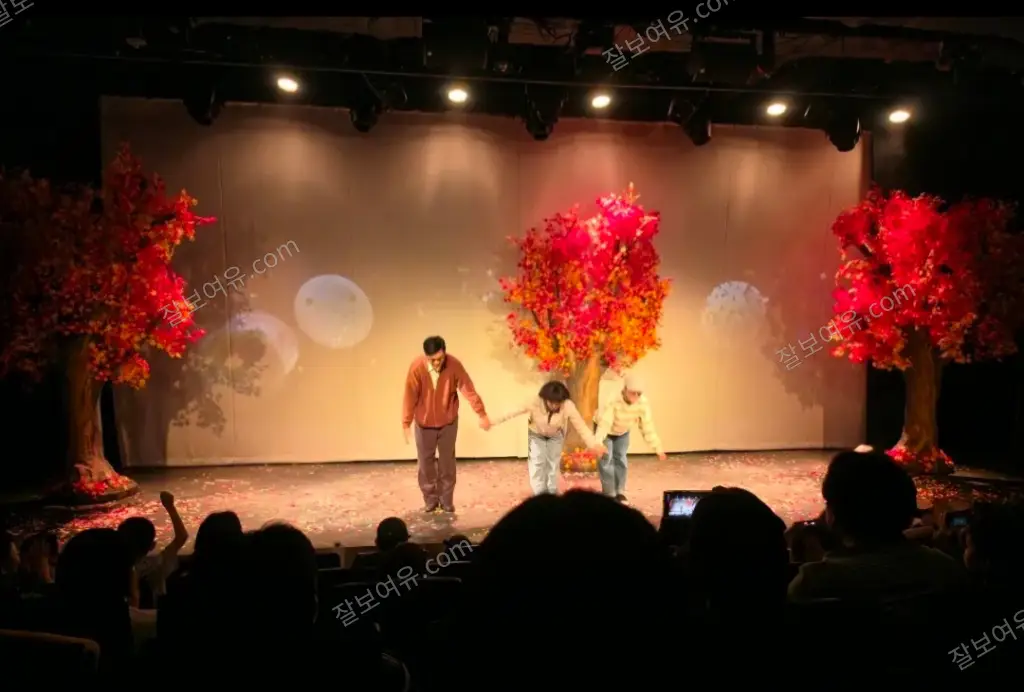 서울숲 씨어터 1관 1층 B구역 6열 6번 시야 사진