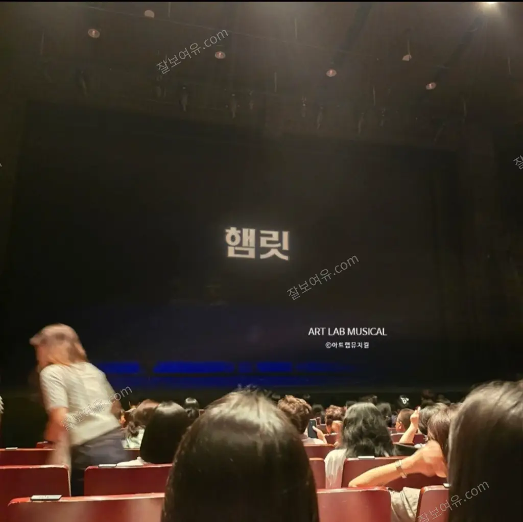 홍익대학교 대학로 아트센터 대극장 1층 B구역 9열 4번 시야 사진