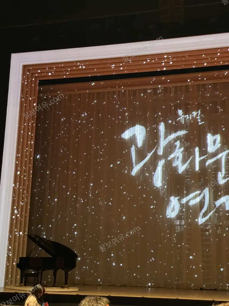 디큐브 링크아트센터 디큐브씨어터 1층 B구역 12열 12번 시야 사진