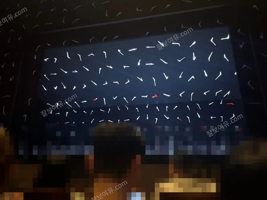 디큐브 링크아트센터 디큐브씨어터 1층 B구역 3열 13번 시야 사진