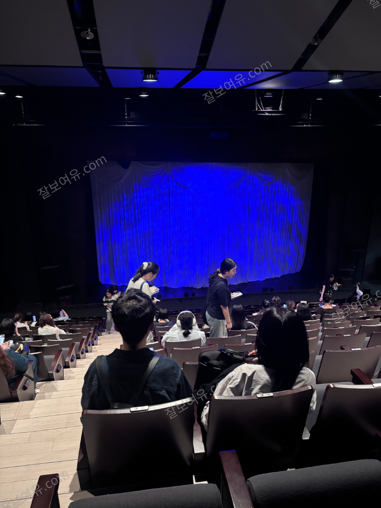 링크아트센터 벅스홀 1층 N열 19번 시야 사진
